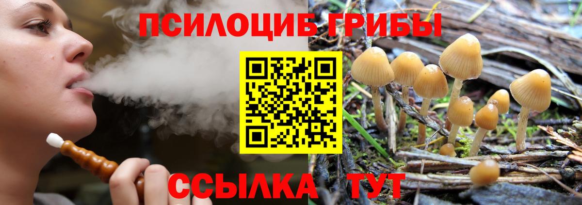 Краснокамск  Галлюциногенные грибы MAGIC MUSHROOMS  Вход с VPN 